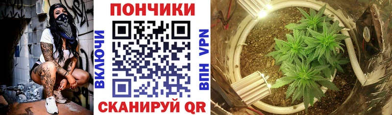shop состав  Орехово-Зуево  Конопля план  omg ссылка 